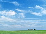a vast, peaceful, West Texas sky above a distant lone farmhouse on a grassy plain